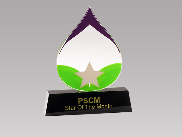 某科技公司定制亞克力獎(jiǎng)牌 某科技公司定制亞克力獎(jiǎng)牌